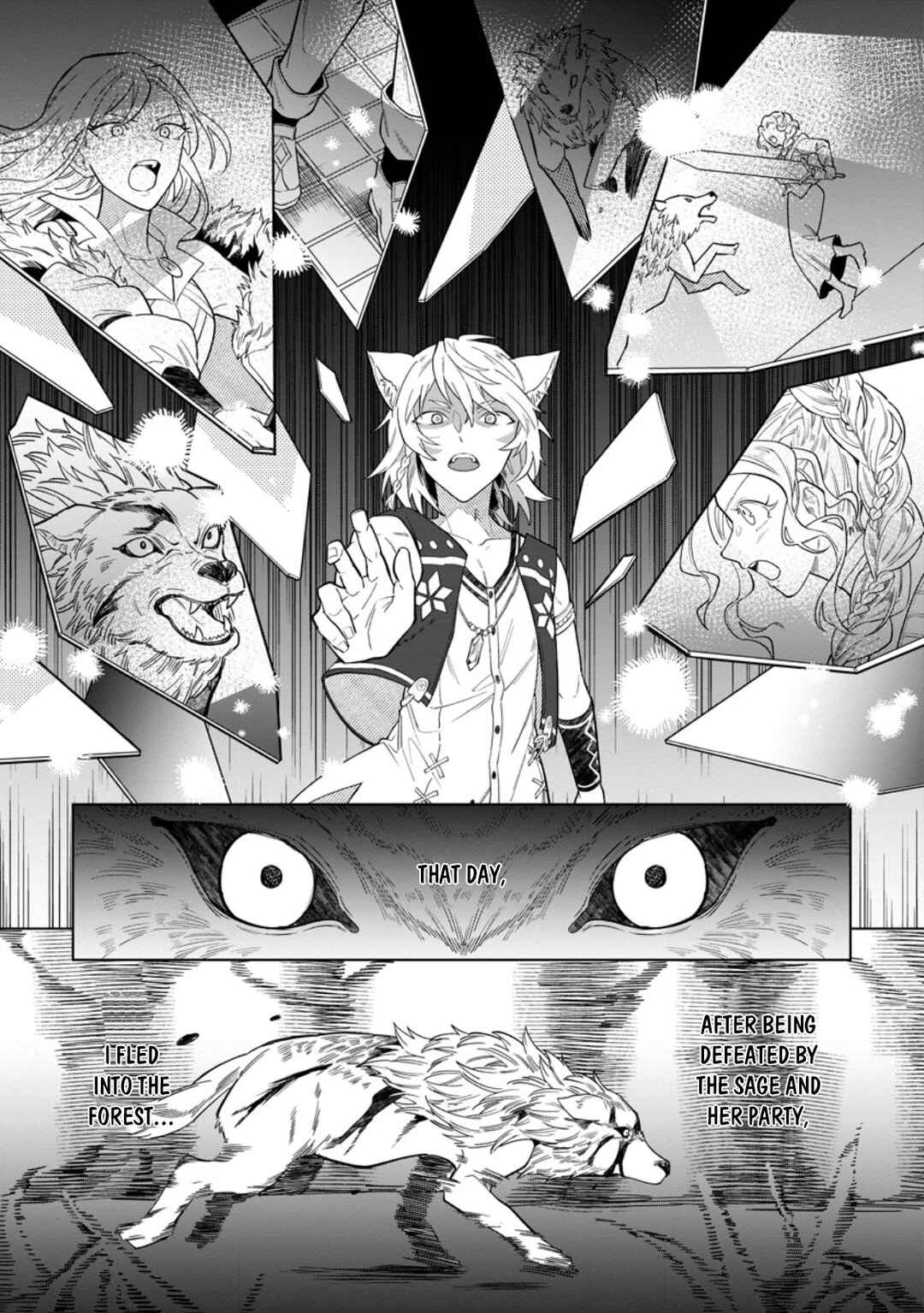 Yuusha Party wo Tsuihou Sareta Shiro Madoushi, S-Rank Boukensha ni Hirowareru: Kono Shiro Madoushi ga Kikakugai Sugiru Chapter 50 - Page 27