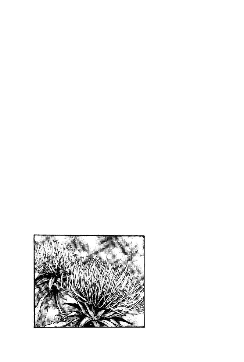 Shamo Chapter 174 - Page 2