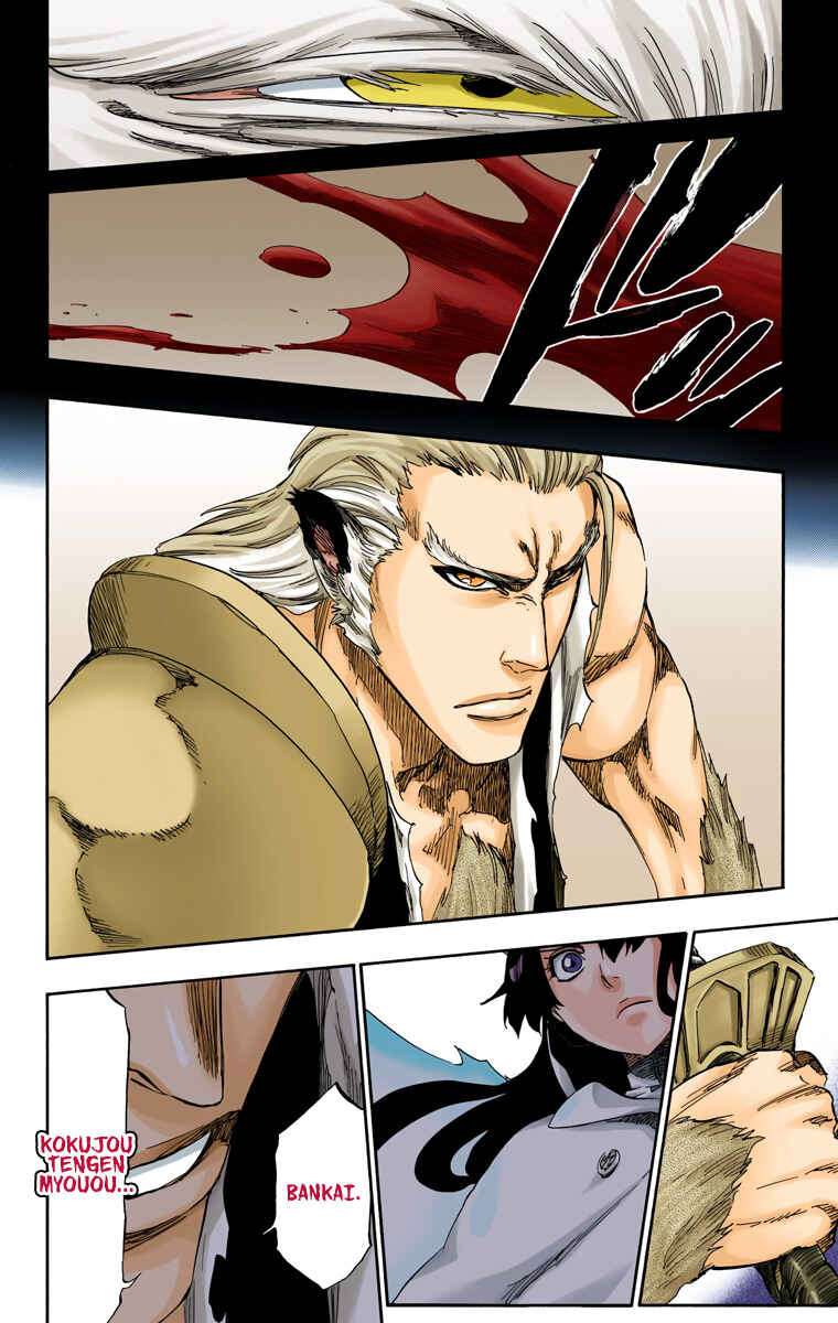 Bleach (Official Colored) Chapter 556 - Page 17