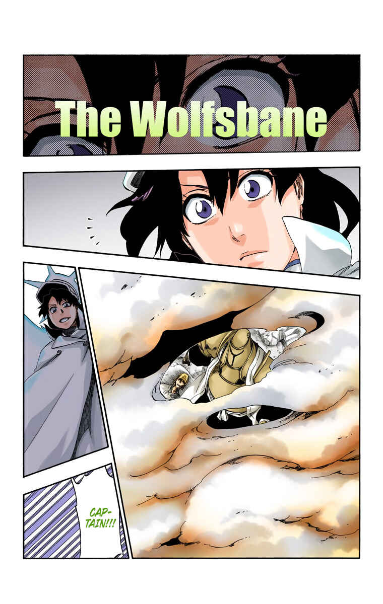 Bleach (Official Colored) Chapter 556 - Page 5