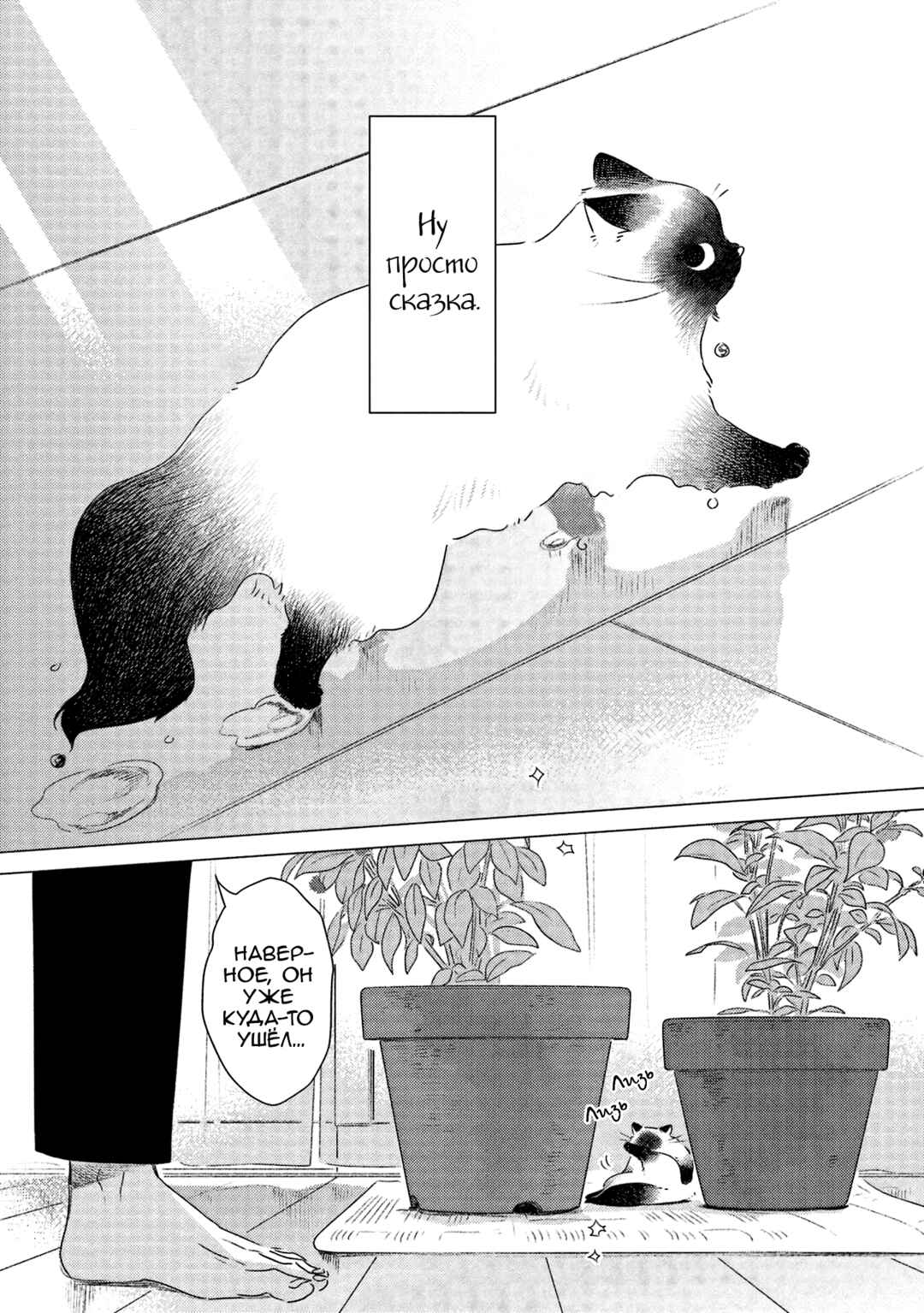 Te no Hira Neko Chapter 1 - Page 11