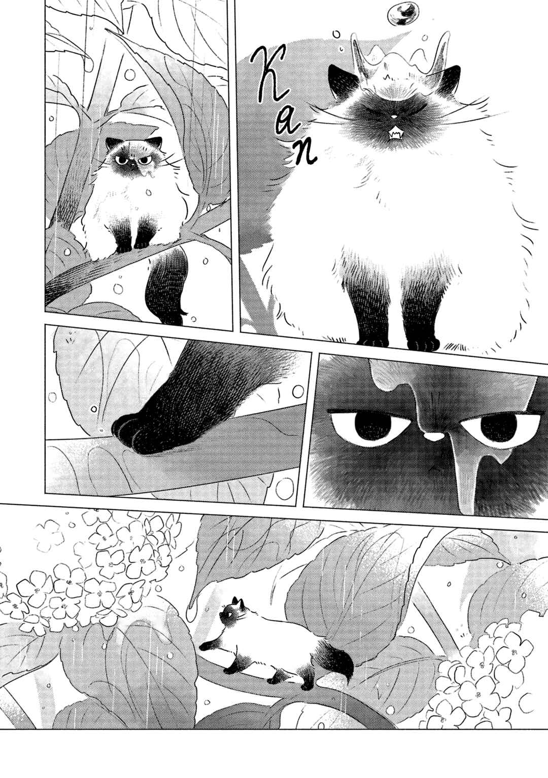 Te no Hira Neko Chapter 1 - Page 5
