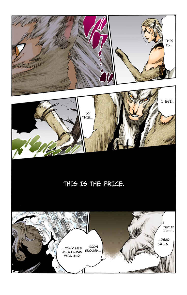 Bleach (Official Colored) Chapter 558 - Page 13