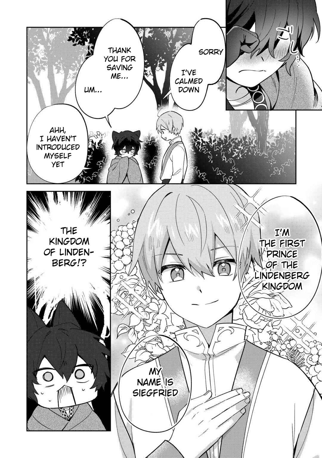Futago no Ouji ni Futago de Konyaku Shita kedo "Ja nai Hou" dakara Yami Mahou wo Kiwameru Chapter 1 - Page 21