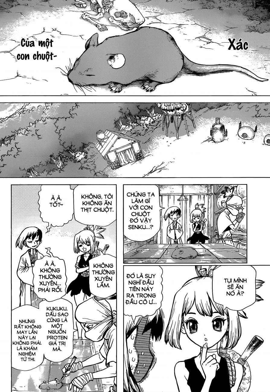 Dr.STONE Chapter 41 - Page 5