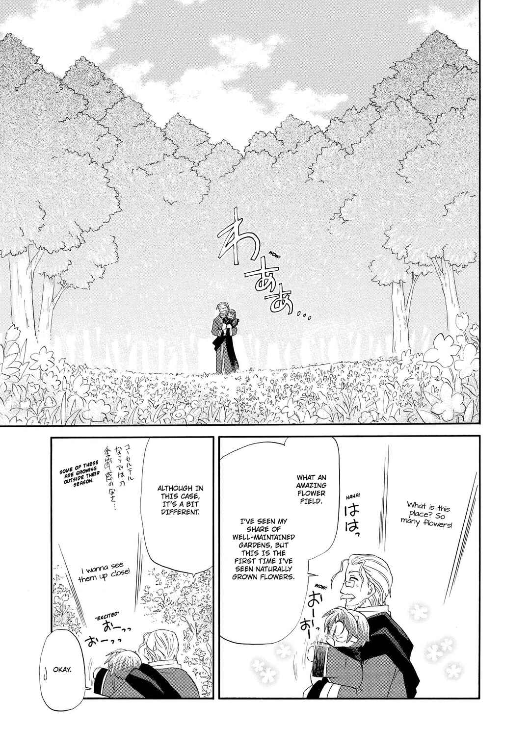 The Dragon Mages of Corseltel ~The Tale of the Dragon Children~ Chapter 54 - Page 4