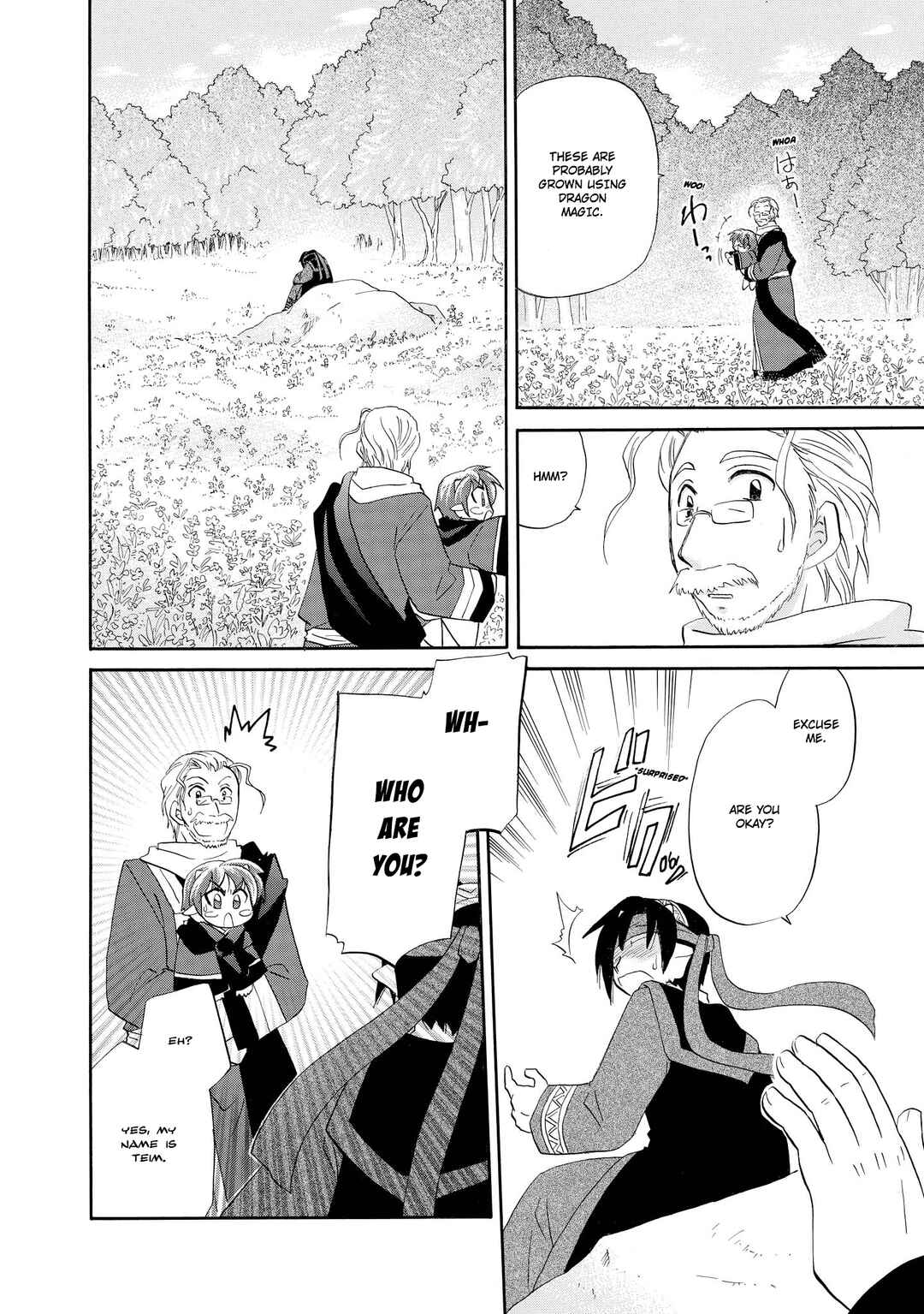 The Dragon Mages of Corseltel ~The Tale of the Dragon Children~ Chapter 54 - Page 5