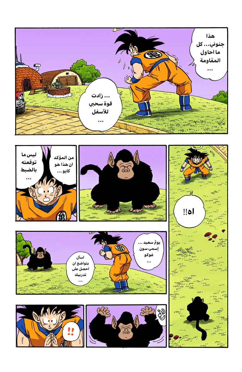 Dragon Ball (Official Colored) Chapter 210 - Page 8