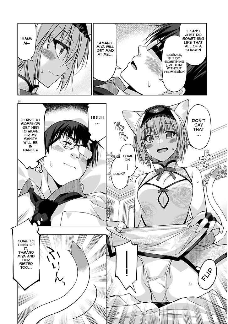 Anata wa Watashi no Geboku desu - Neko to Geboku no Himitsu no Kankei Chapter 11 - Page 14