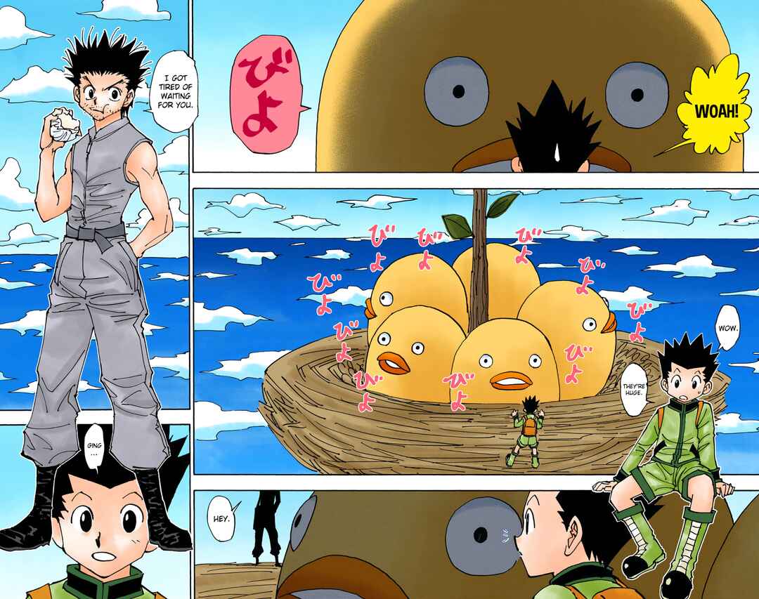 Hunter x Hunter (Official Colored) Chapter 338 - Page 10
