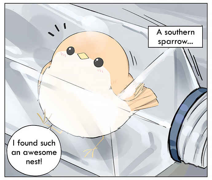Southern Bird and Northern Bird Chapter 25 - Page 2