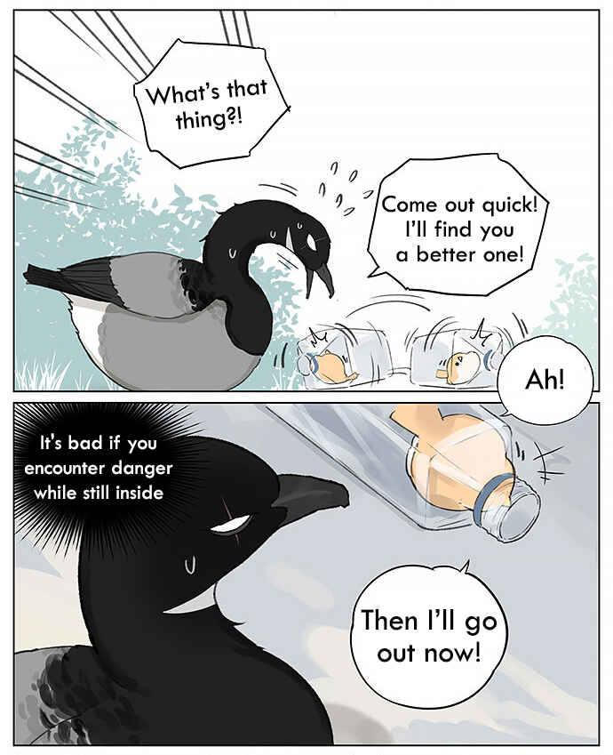 Southern Bird and Northern Bird Chapter 25 - Page 3