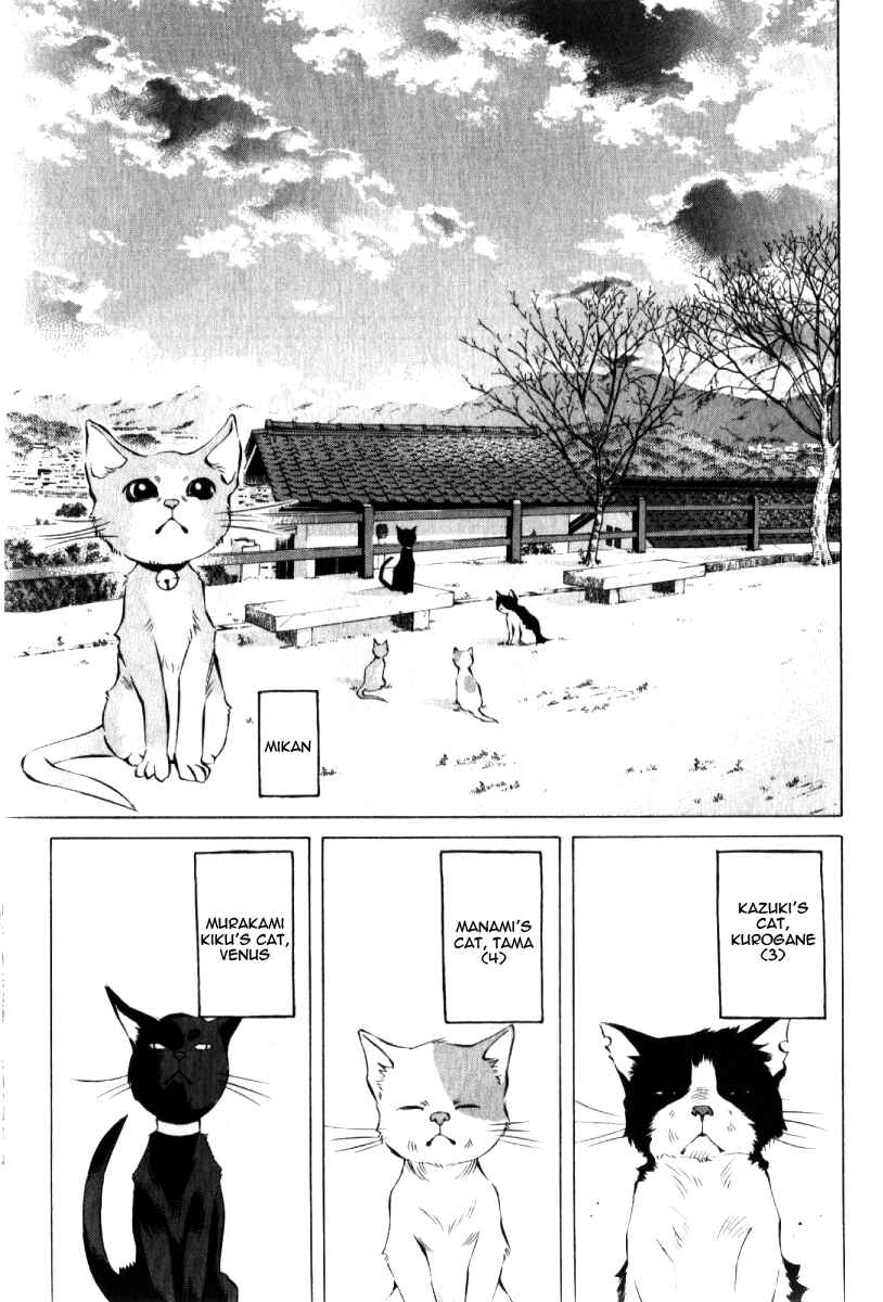 Pastel Chapter 123.5 - Page 12