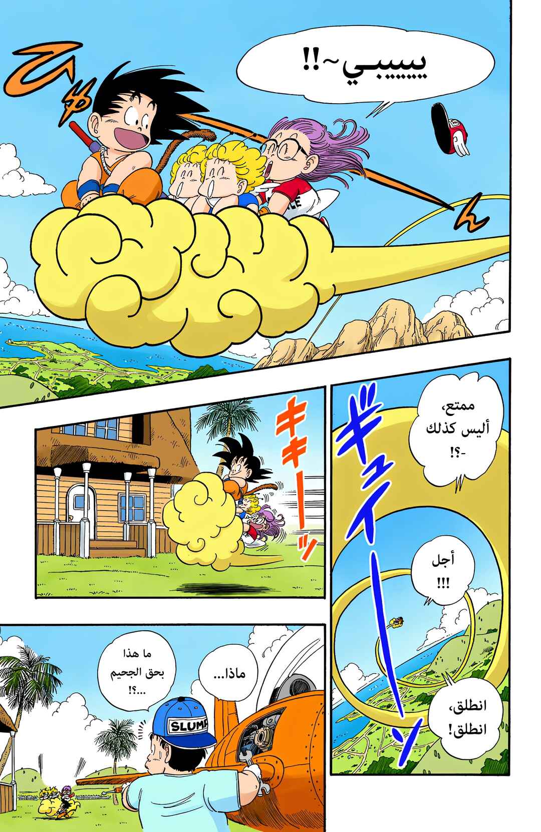 Dragon Ball (Official Colored) Chapter 82 - Page 13