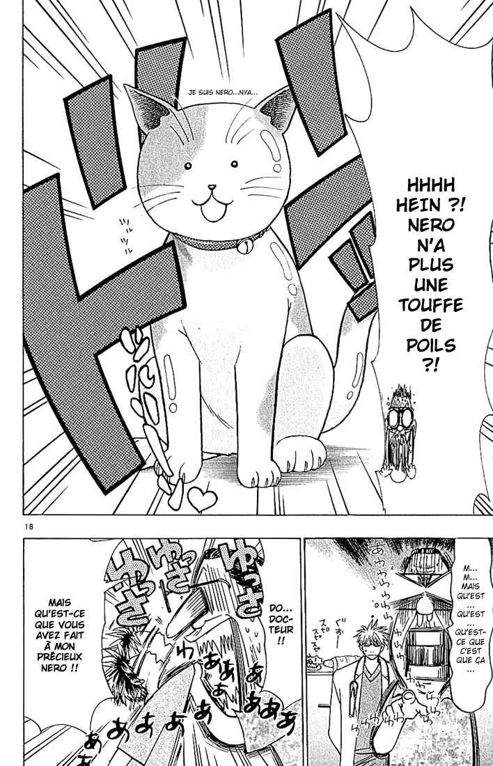 Wild Life Chapter 81 - Page 19