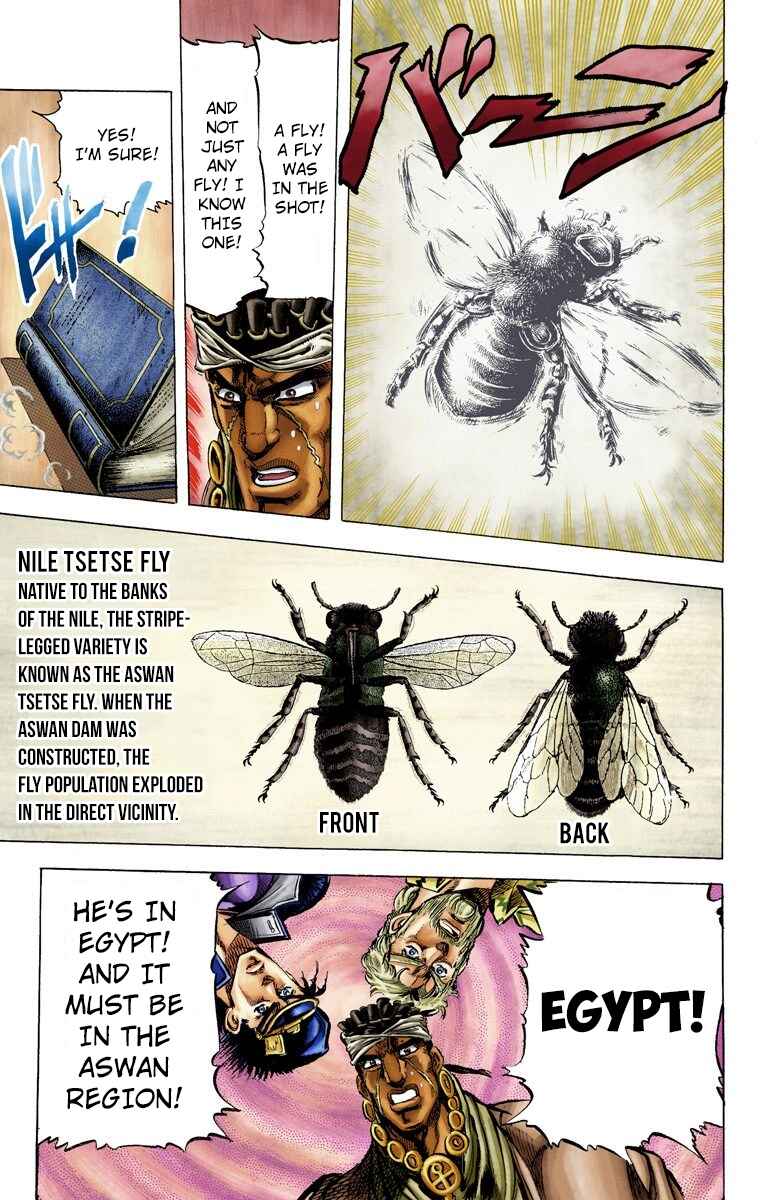 JoJo no Kimyou na Bouken: Part 3 - Stardust Crusaders Color-ban Chapter 8 - Page 17