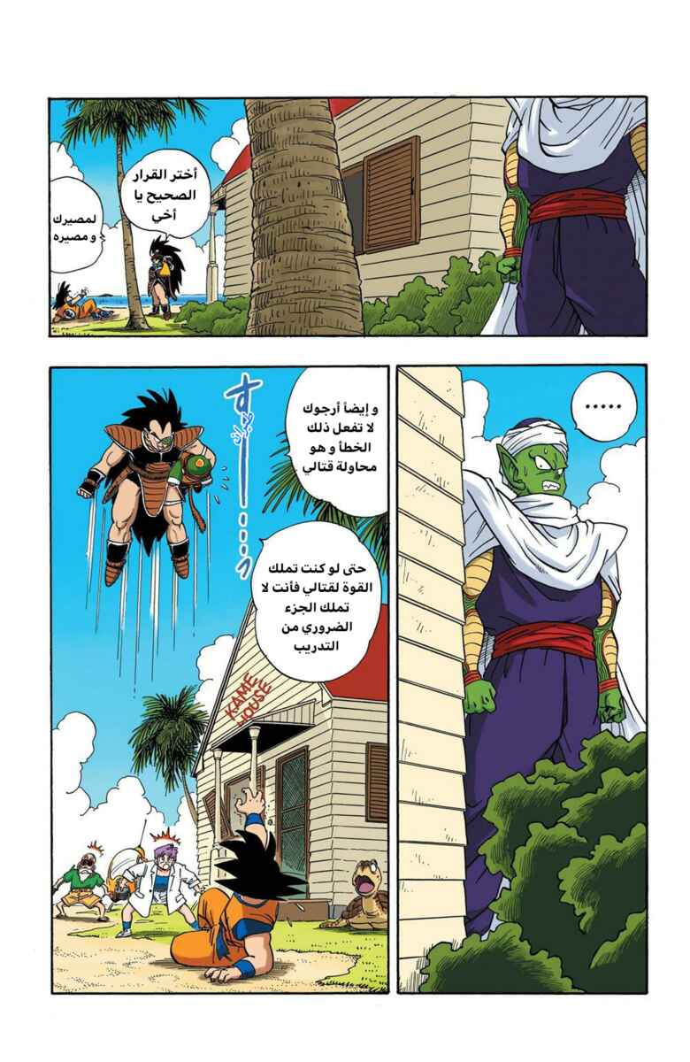 Dragon Ball (Official Colored) Chapter 198 - Page 3