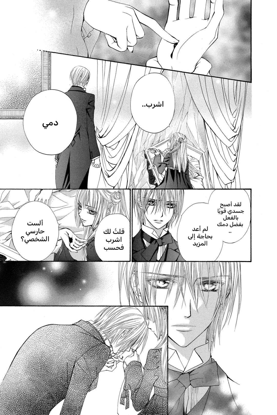Vampire Knight Chapter 38.1 - Page 10