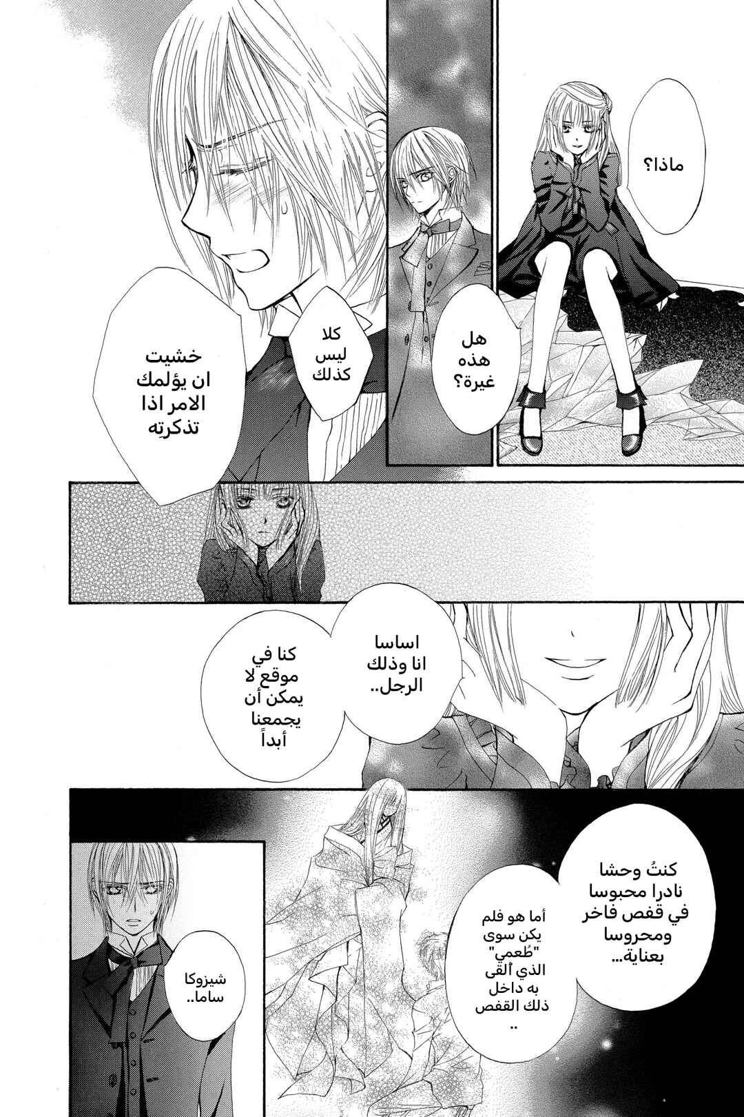Vampire Knight Chapter 38.1 - Page 13