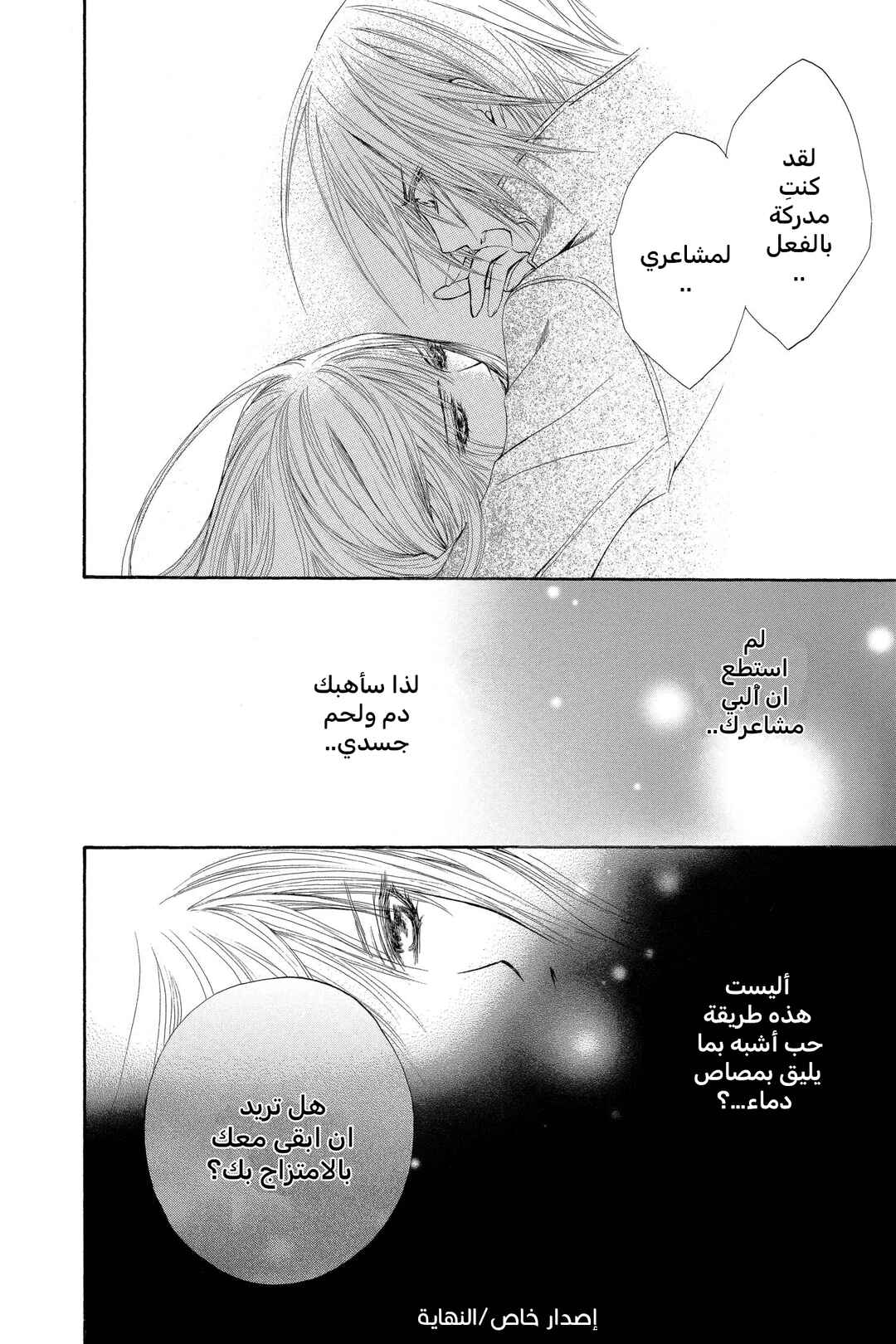 Vampire Knight Chapter 38.1 - Page 19
