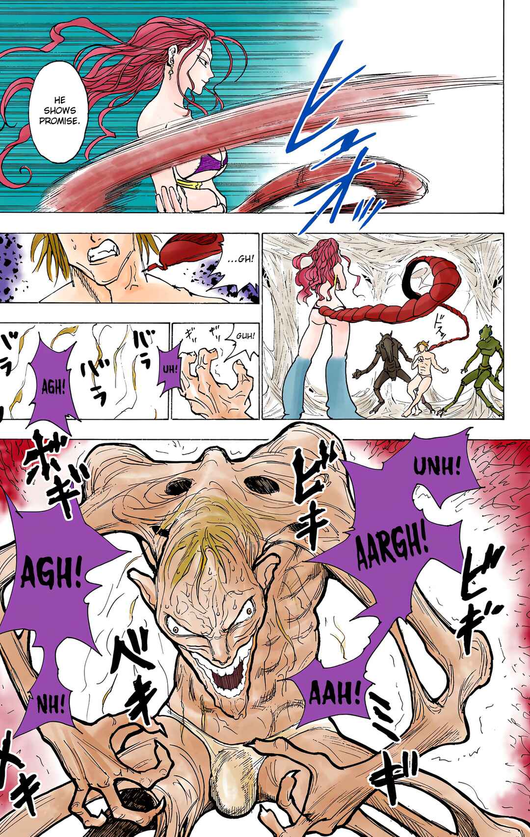 Hunter x Hunter (Official Colored) Chapter 224 - Page 15