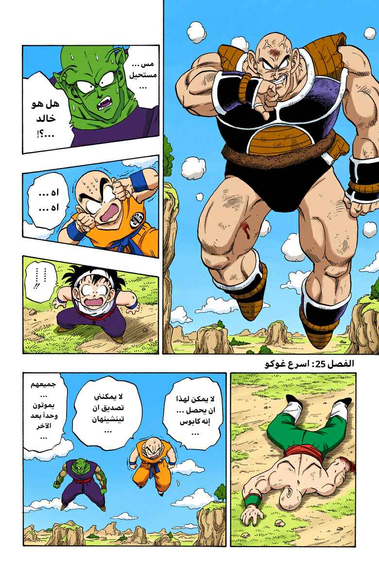 Dragon Ball (Official Colored) Chapter 219 - Page 1