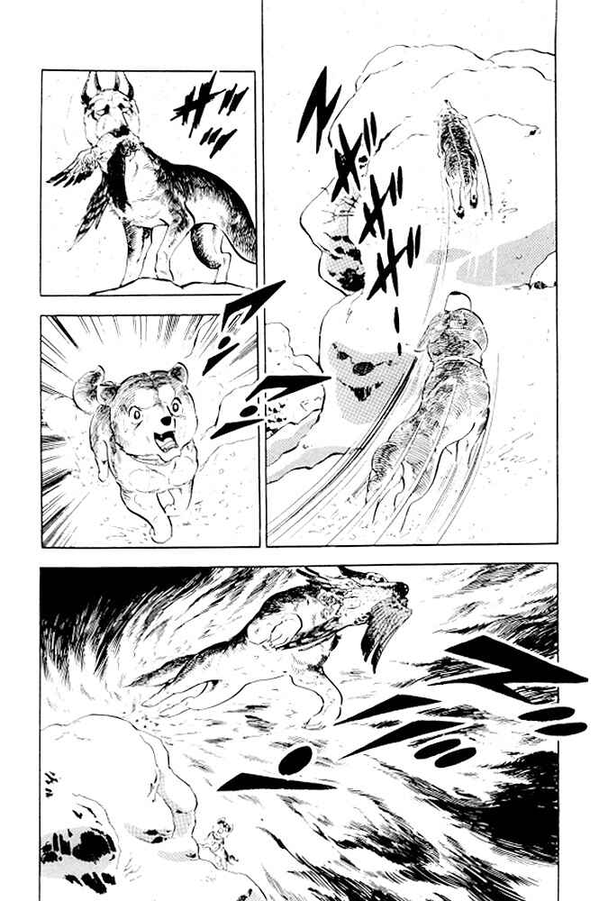 Silver Fang – The Shooting Star Gin – Chapter 4 - Page 23