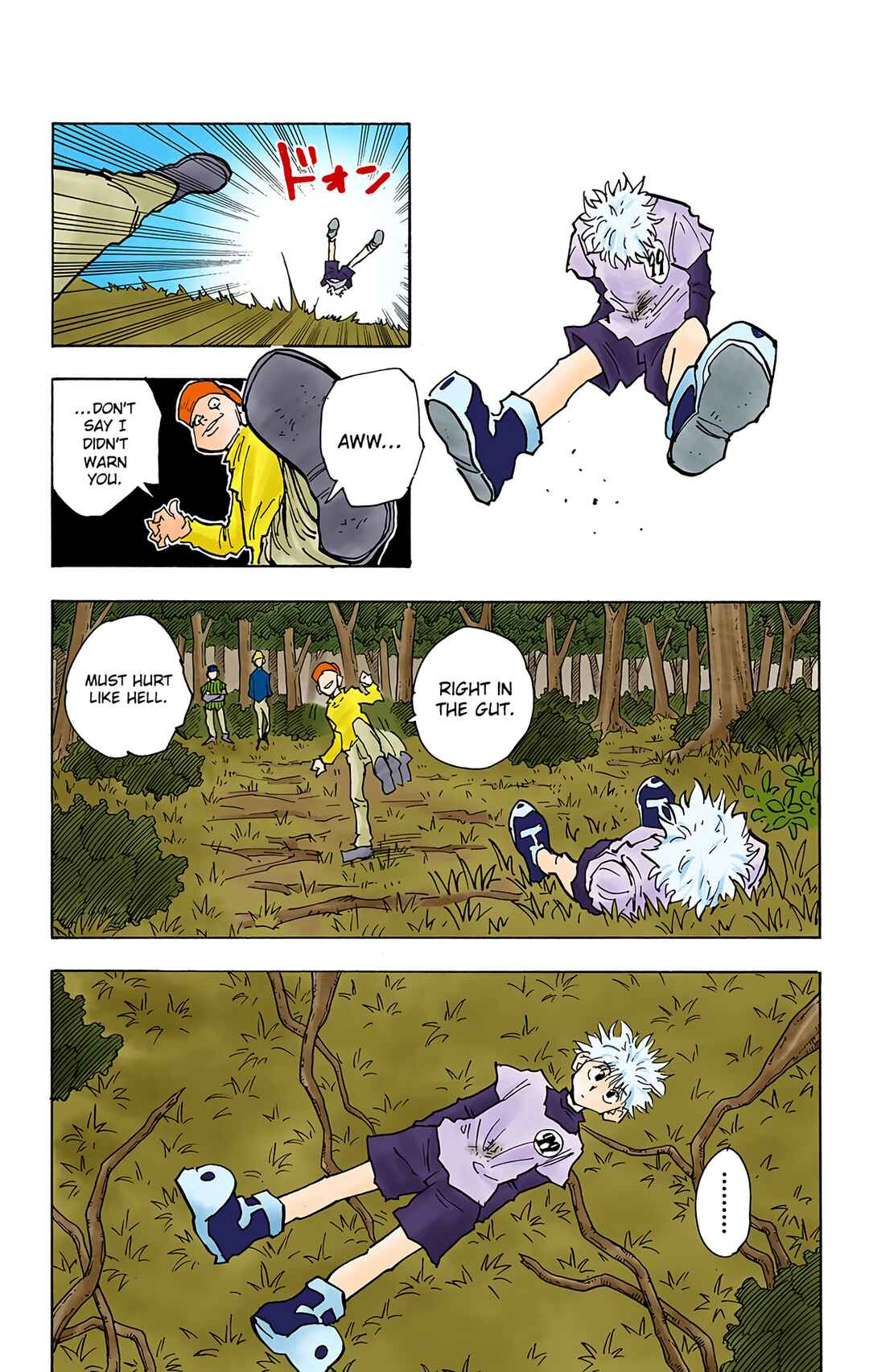 Hunter x Hunter (Official Colored) Chapter 29 - Page 8
