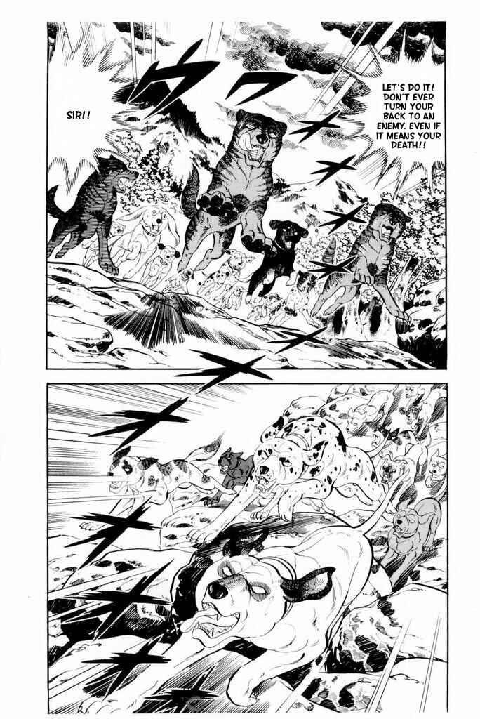 Silver Fang – The Shooting Star Gin – Chapter 17 - Page 22
