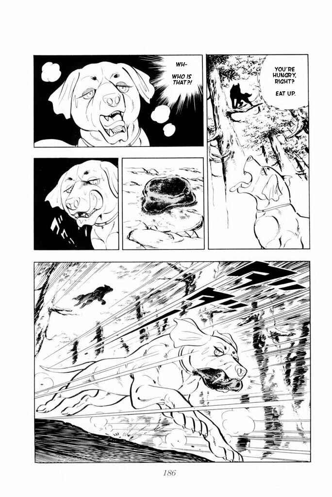 Silver Fang – The Shooting Star Gin – Chapter 17 - Page 77