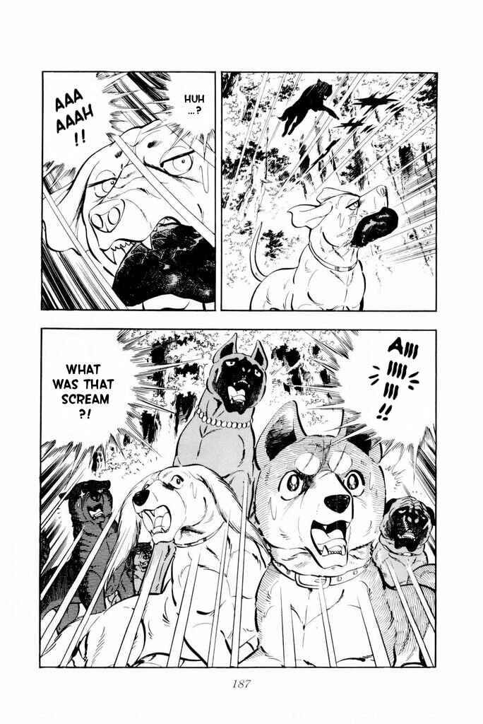 Silver Fang – The Shooting Star Gin – Chapter 17 - Page 78