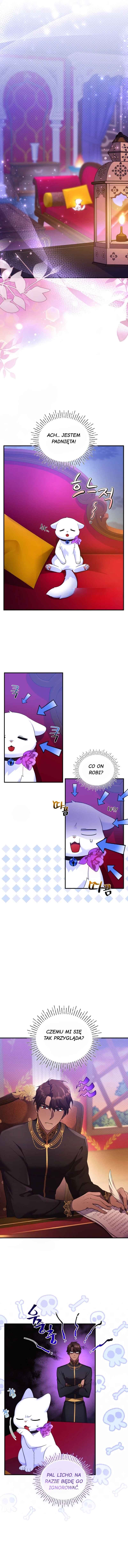 I Became the Sultan's Precious Cat Chapter 8 - Page 9