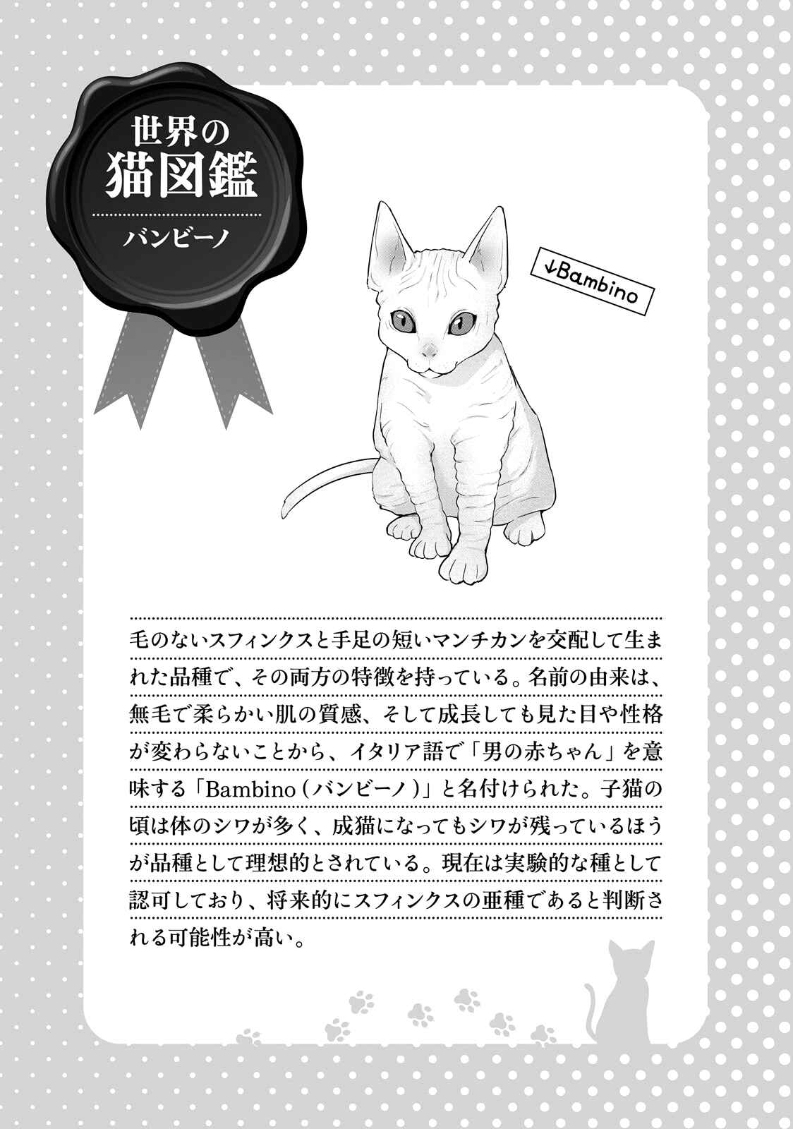 Hentai Ouji to Warawanai Neko. Chapter 48 - Page 13