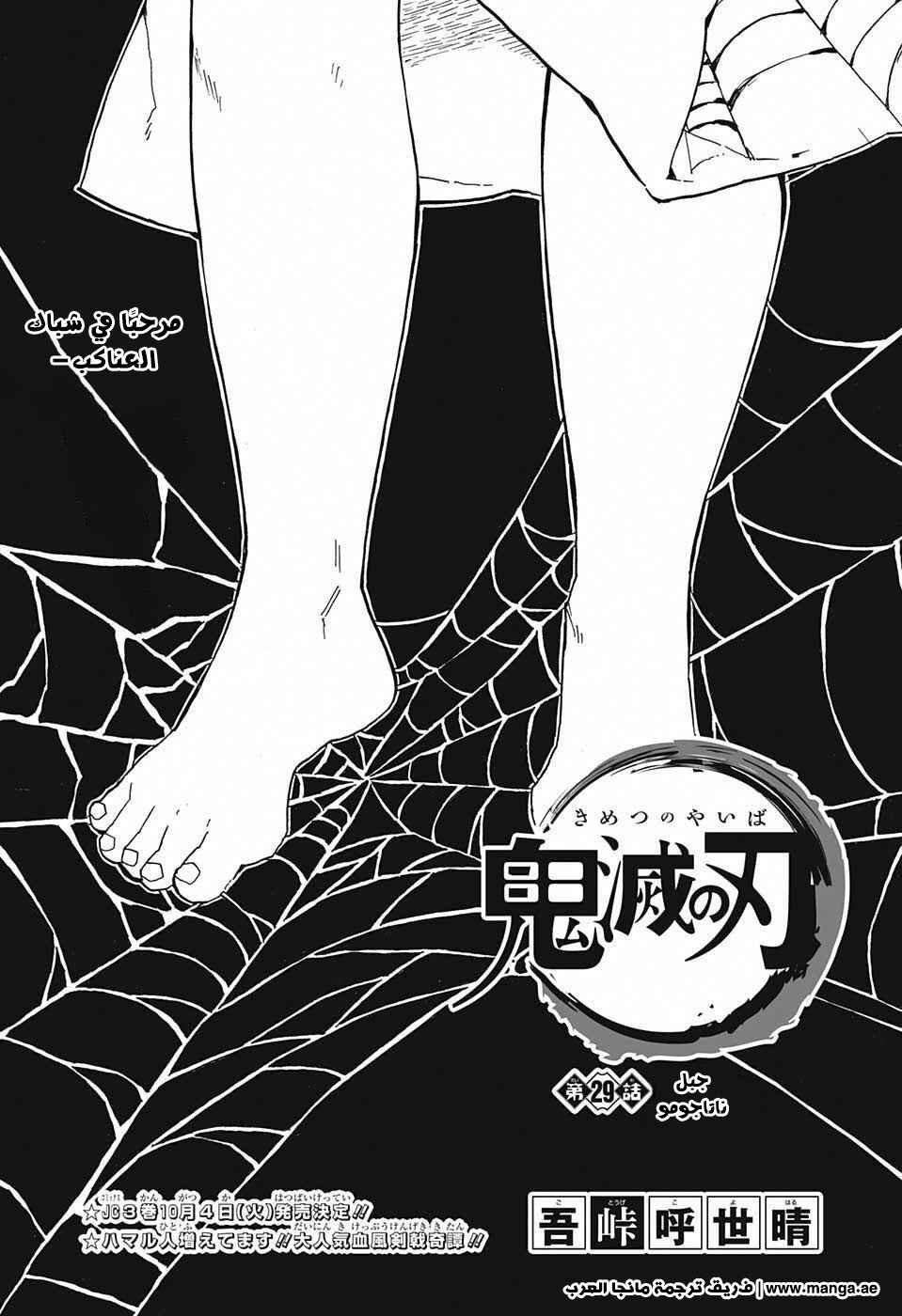 Demon Slayer: Kimetsu no Yaiba Chapter 29 - Page 1