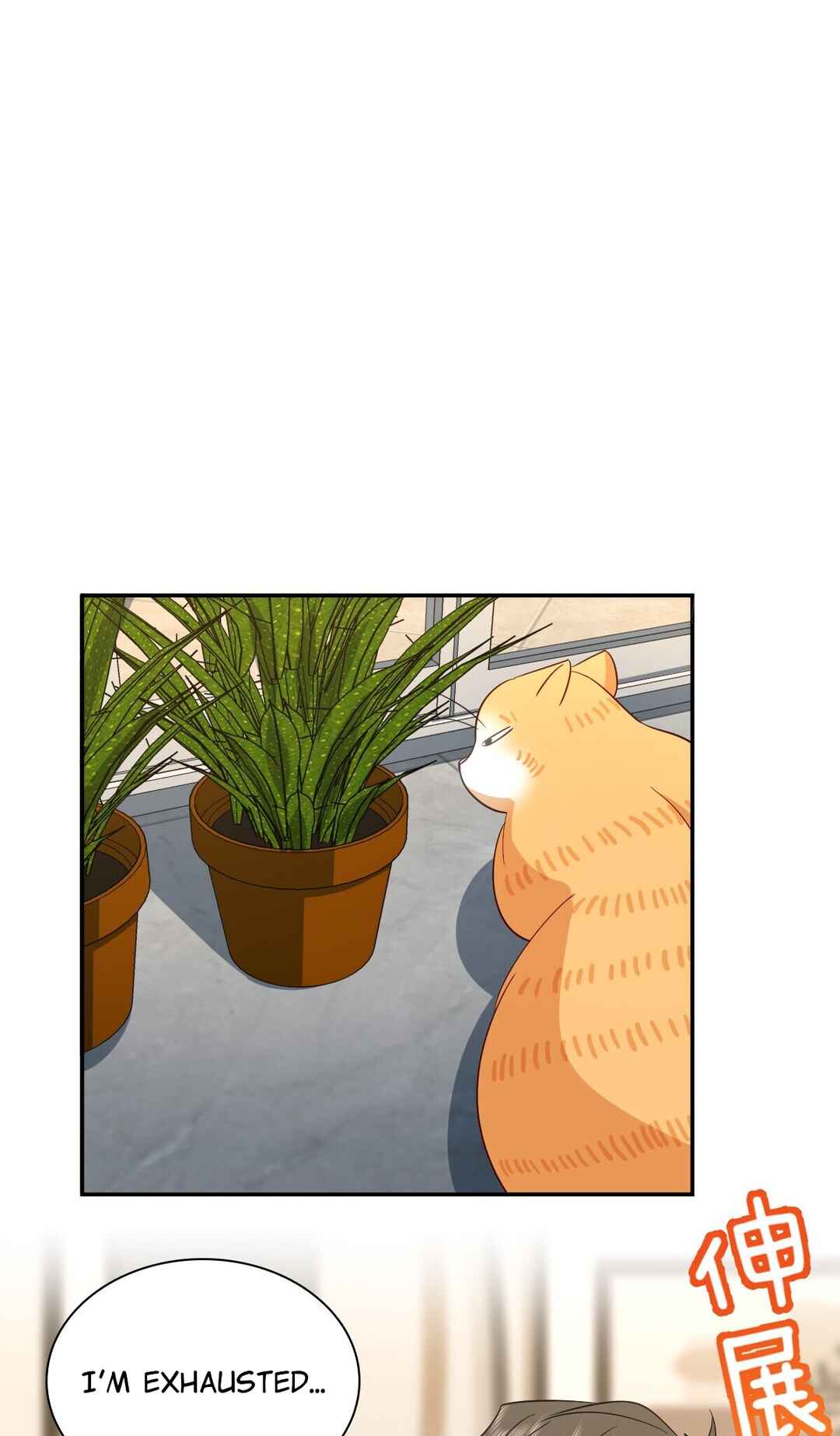 Wǒ Jiā Lǎopo Láizì Yīqiān Nián Qián Chapter 333 - Page 37