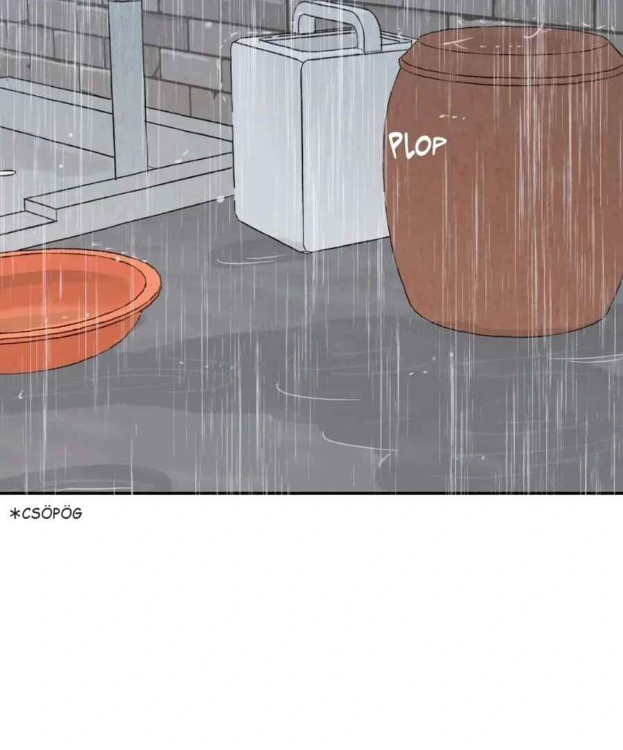 Our Sunny Days Chapter 42 - Page 2