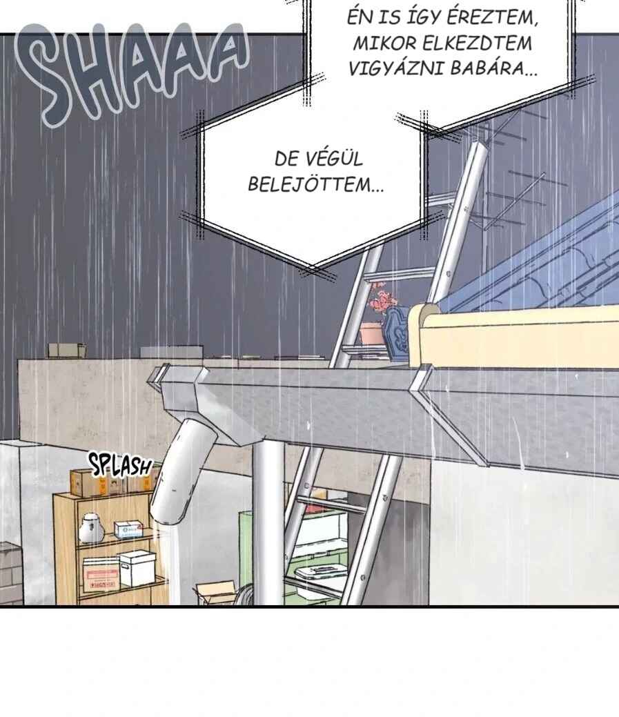 Our Sunny Days Chapter 42 - Page 29