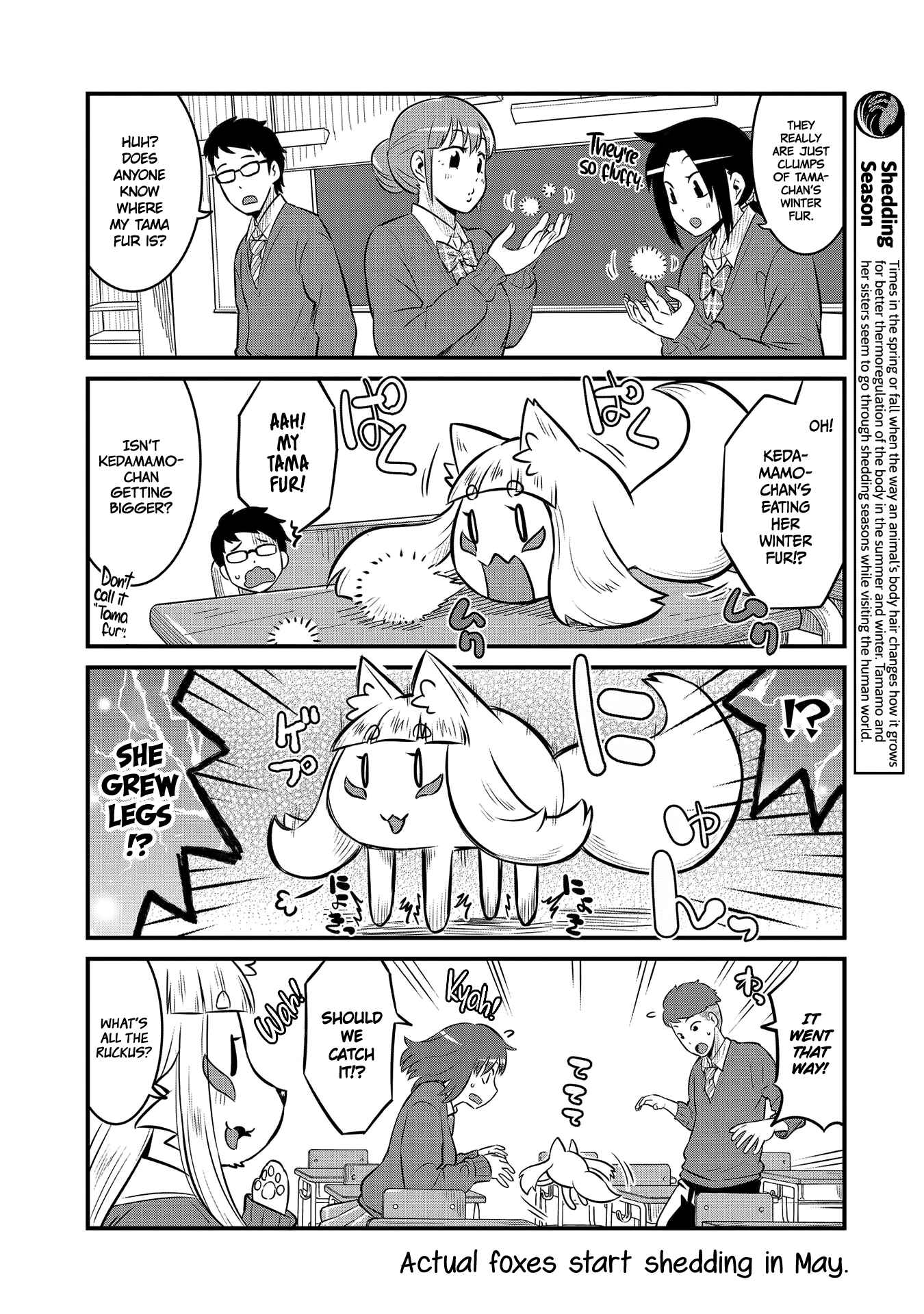 Tamamo-chan’s a Fox! Chapter 62 - Page 6