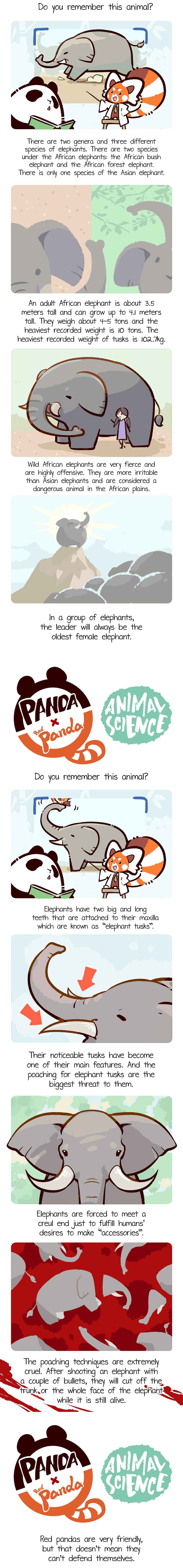 Panda x Red Panda Chapter 6 - Page 2