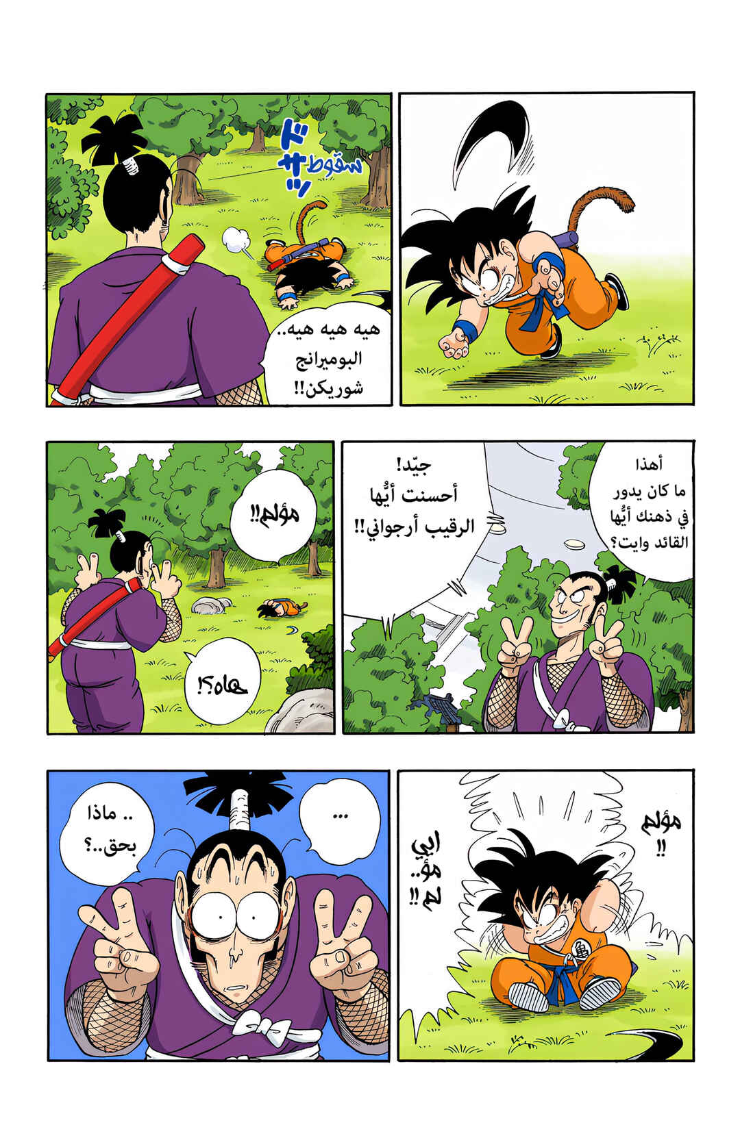 Dragon Ball (Official Colored) Chapter 61 - Page 11