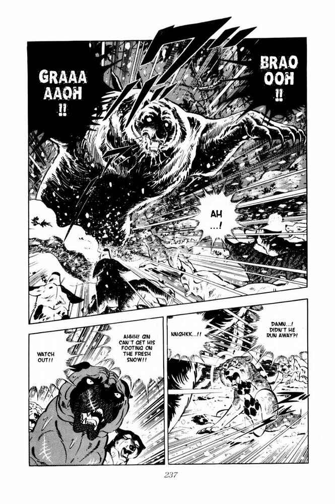 Silver Fang – The Shooting Star Gin – Chapter 41 - Page 17