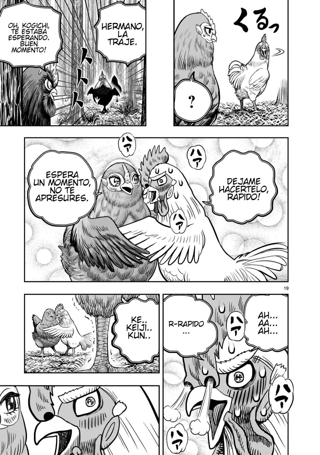 Niwatori Fighter Chapter 36.5 - Page 21