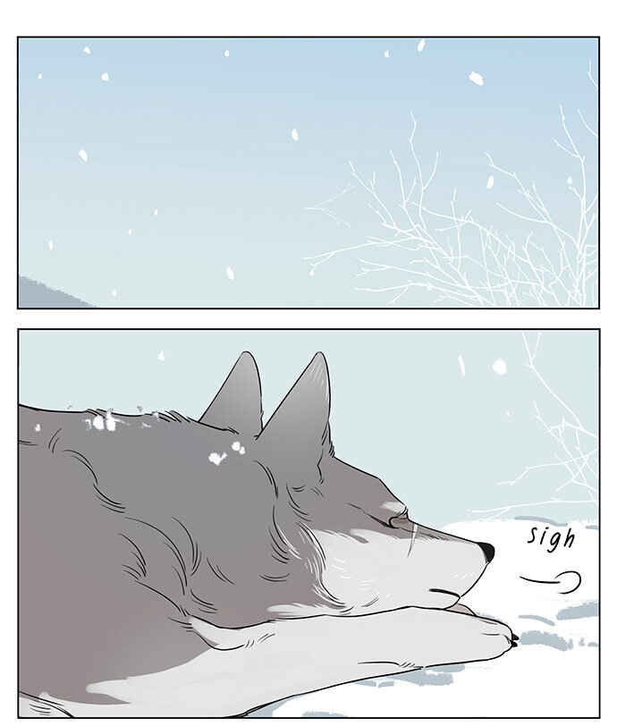 The Wolf That Picked Something Up Chapter 49 - Page 12