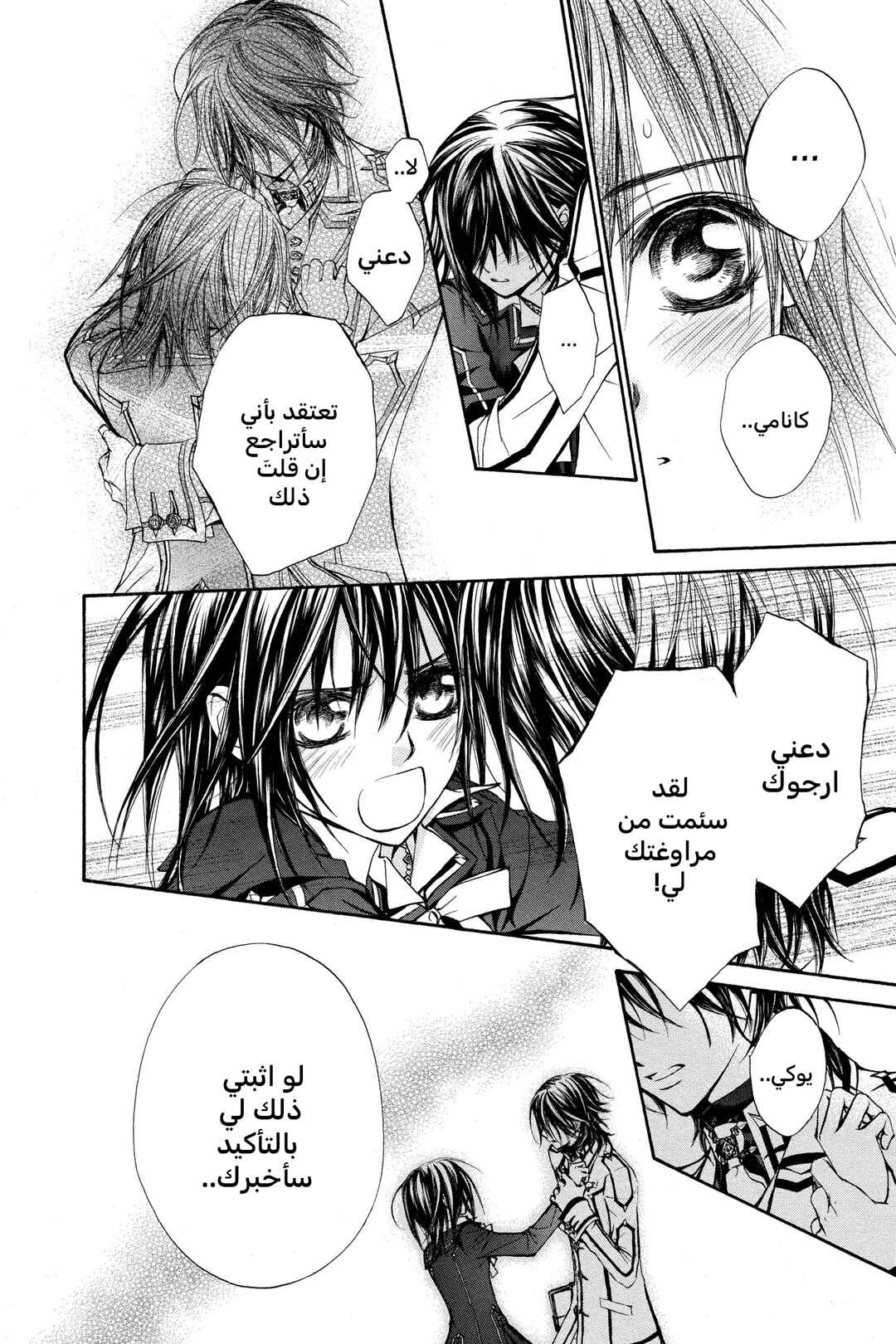 Vampire Knight Chapter 32 - Page 29