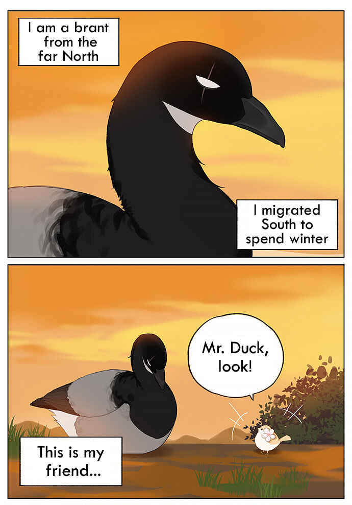 Southern Bird and Northern Bird Chapter 32 - Page 1