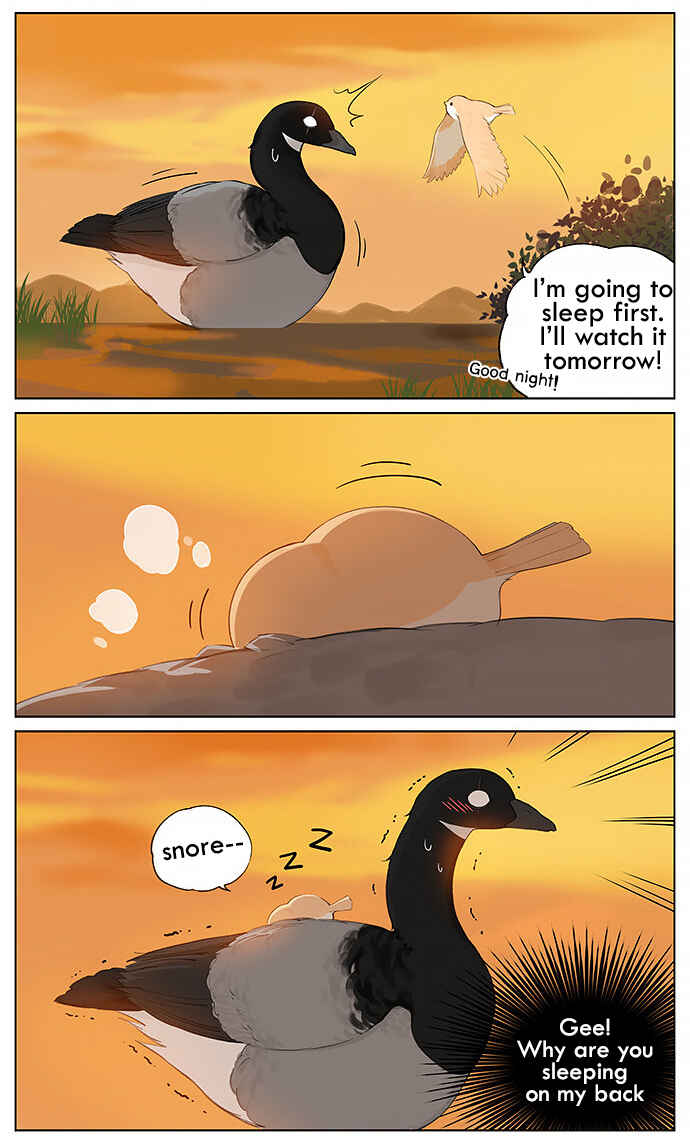 Southern Bird and Northern Bird Chapter 32 - Page 4