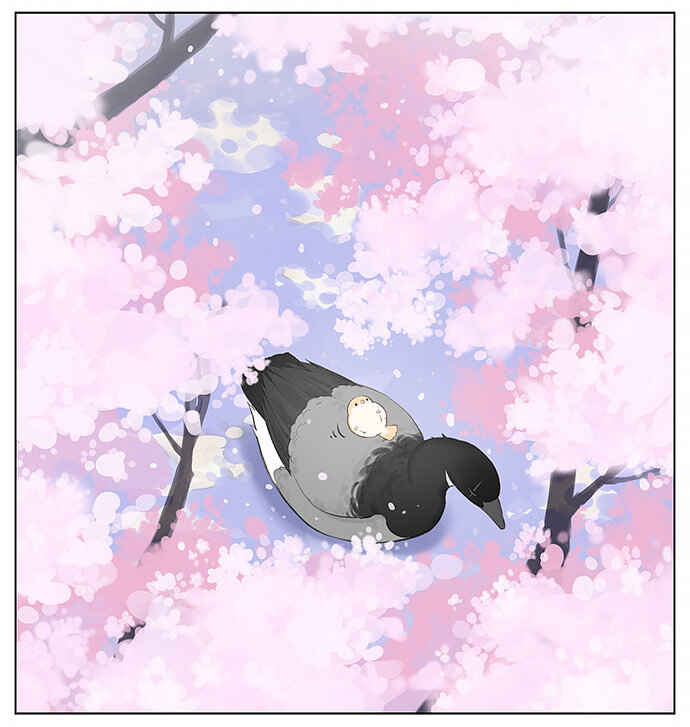 Southern Bird and Northern Bird Chapter 32 - Page 7