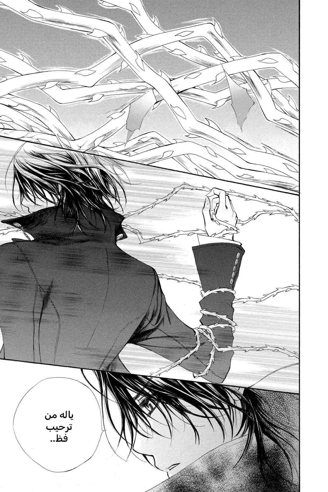 Vampire Knight Chapter 45 - Page 29