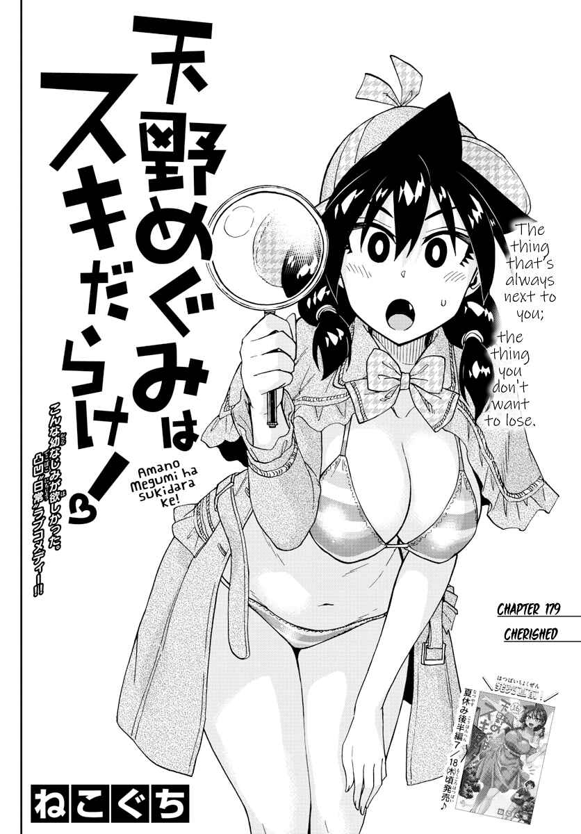 Amano Megumi wa Sukidarake! Chapter 179 - Page 2
