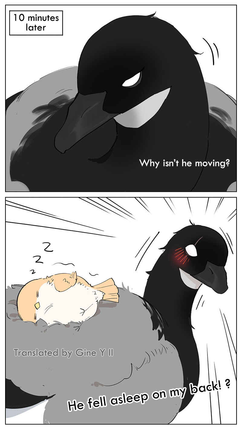 Southern Bird and Northern Bird Chapter 46 - Page 10